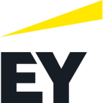  Ernst & Young Česká republika